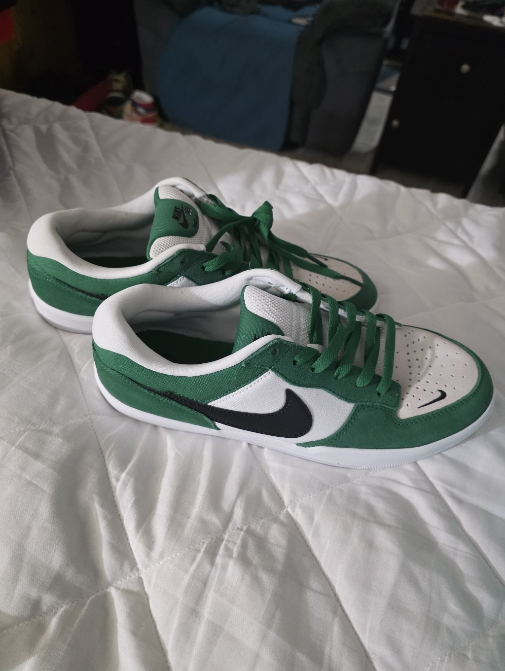 Nike Sb Force 58 Size 9m  TealTurquoise Brand New